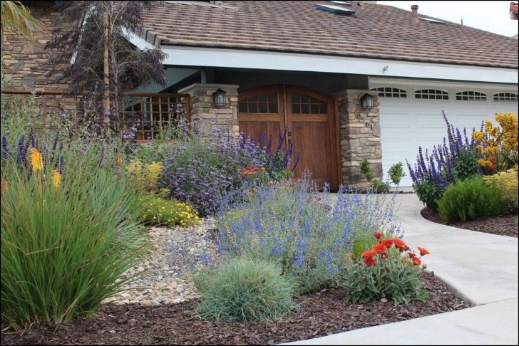 Front Yard Landscaping Plants Ca Friendly Design Ideas | Small Front Yard Landscaping Picture 365