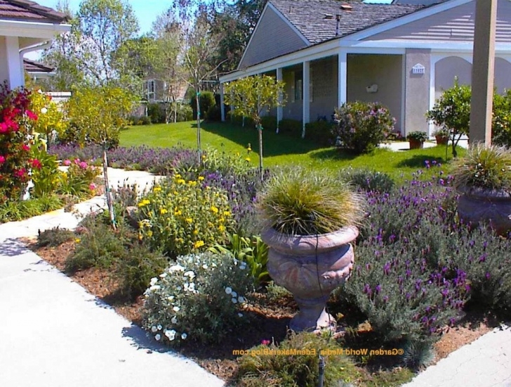 Front Yard No Grass Front Yards Without Grass • Trumk Picture 090