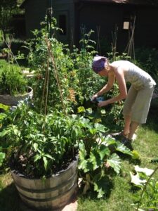 Garden Companion Planting Companion Planting 101: Putting Your Garden To Work For Photo 000