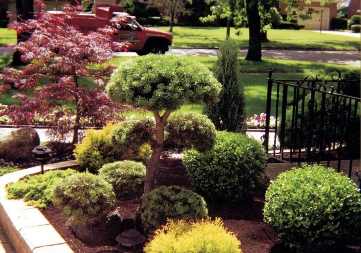 Garden Design And Landscaping Landscape Design And Installation By Forever Green Landscapes Photo 188