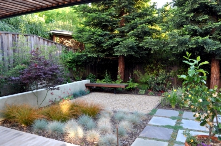 Garden Design For Small Gardens Garden Design Ideas – The Best Trees For Small Gardens Photo 079