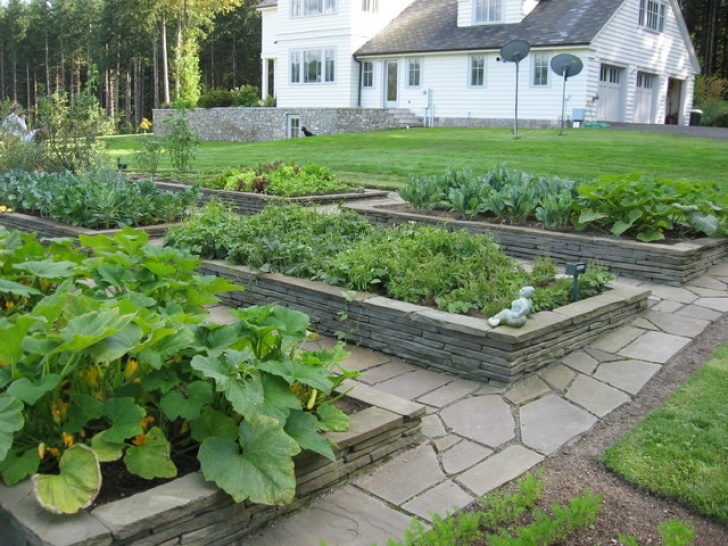 Garden Design With Stones Raised Stone Garden Beds - Traditional - Landscape Photo 639