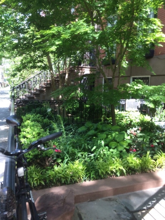 Garden Green Landscaping We’re In A Tight Spot — Landscape Design For Small Urban Image 748