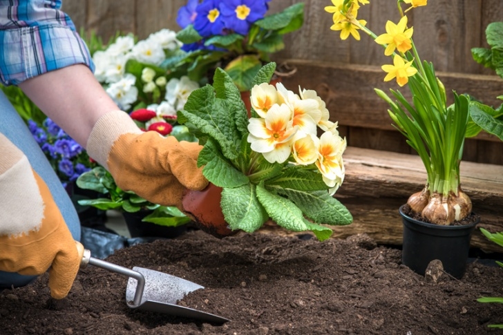 Garden Maintenance Services Casey'S Garden Shop &amp; Florist : We Put The "Bloom" In Picture 070