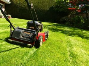 Garden Maintenance Services Lawn Care - Nature'S Edge Landscapingnature'S Edge Landscaping Picture 596
