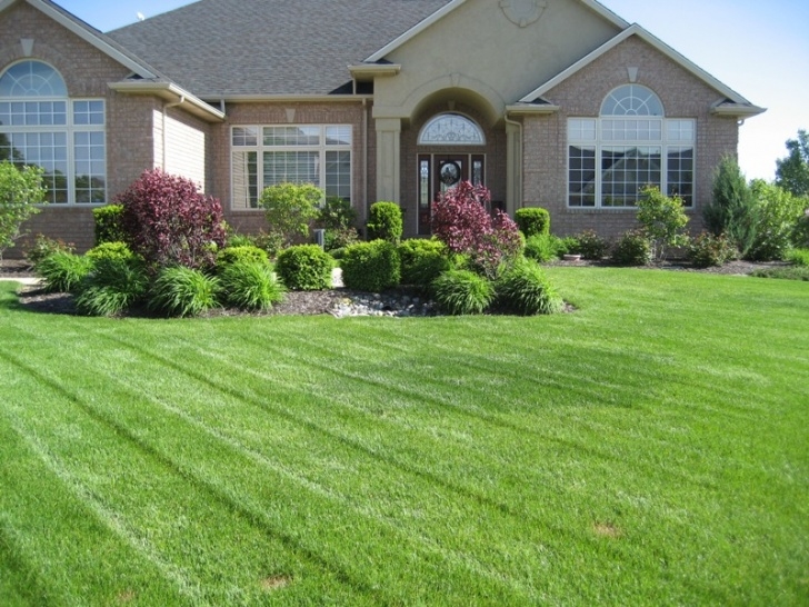 Garden Maintenance Services Tips For Designing Lawn Care Flyer Printing | Lawn Care Image 657