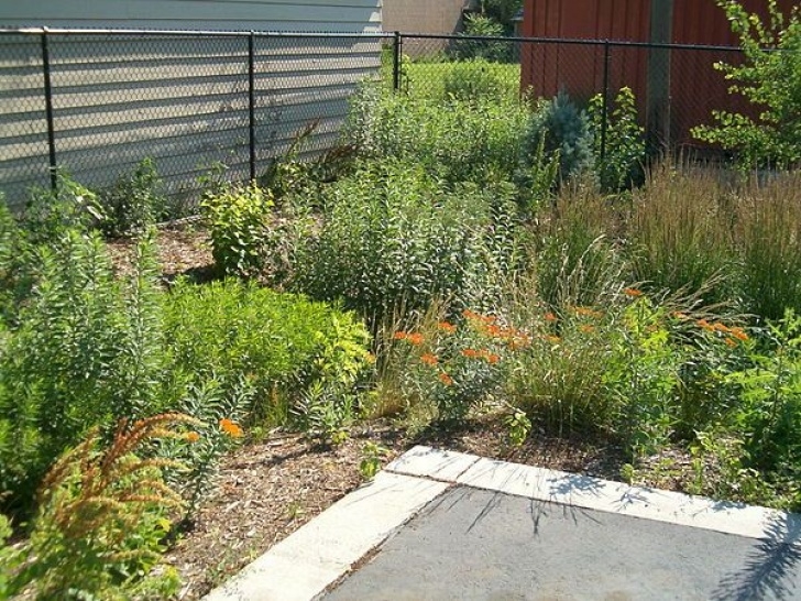 Garden Rain Lawn Edging Rain Garden - Wikipedia, The Free Encyclopedia | Rain Picture 120