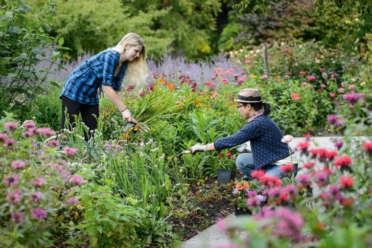 Gardeners World Small Gardens 30 + Garden Inspiration Ideas: The Best Gardens In The World Photo 287