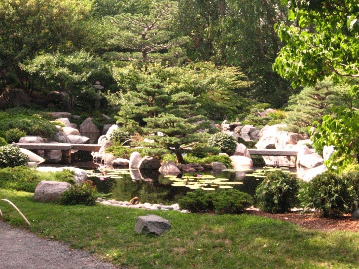 Gardeners World Small Gardens Small Japanese Garden | Original File ‎ (2,592 × 1,944 Photo 372