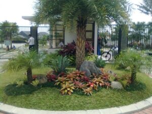 Gardening And Landscaping Palms Landscape Ideas Image 091 Gardening And Landscaping Palms Landscape Ideas Image 091