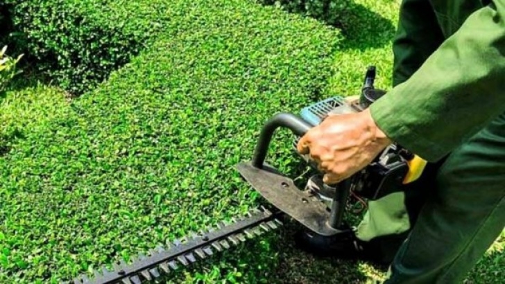 Gardening And Landscaping Services Efrain Gonzalez Gardening Service| Nothing Better Than An Photo 525