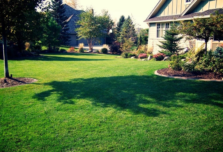 Gardening And Landscaping Services Lawn Care - Great Goats Landscapinggreat Goats Landscaping Picture 511