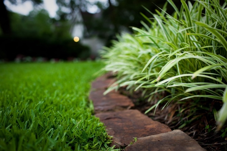 Gardening And Landscaping Services What Are Reasonable Lawn Care Service Prices? Image 940