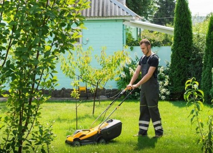 Gardening And Lawn Mowing Services Benefits Of Hiring Lawn Mowing Services For Your Lawn Image 799