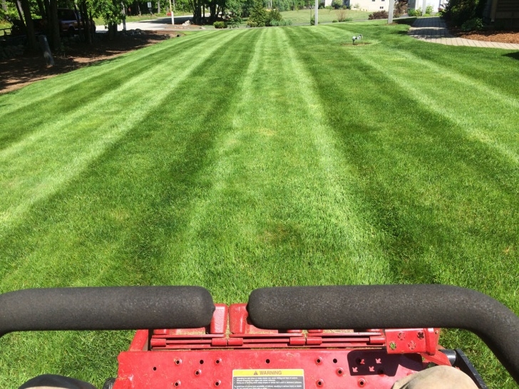 Gardening And Lawn Mowing Services Firman Lawn Care - Residential &amp; Commercial Landscaping Photo 210