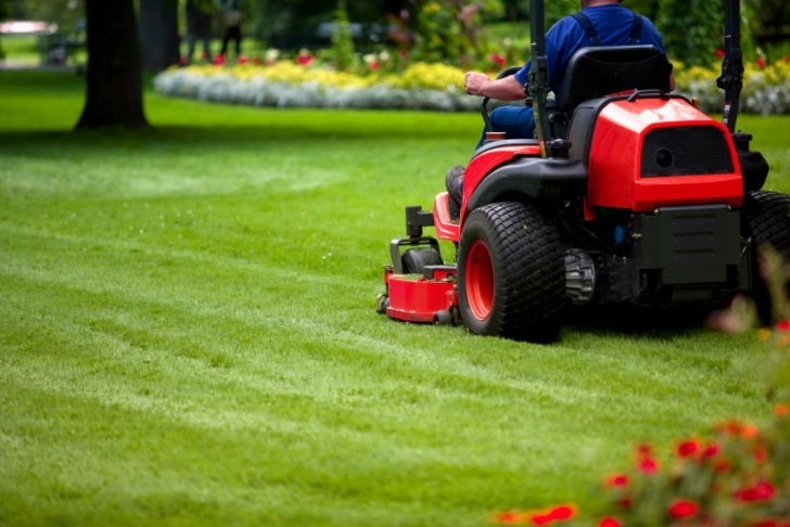 Gardening And Lawn Mowing Services Lawn Maintenance | All Seasons Lawn Care Image 488