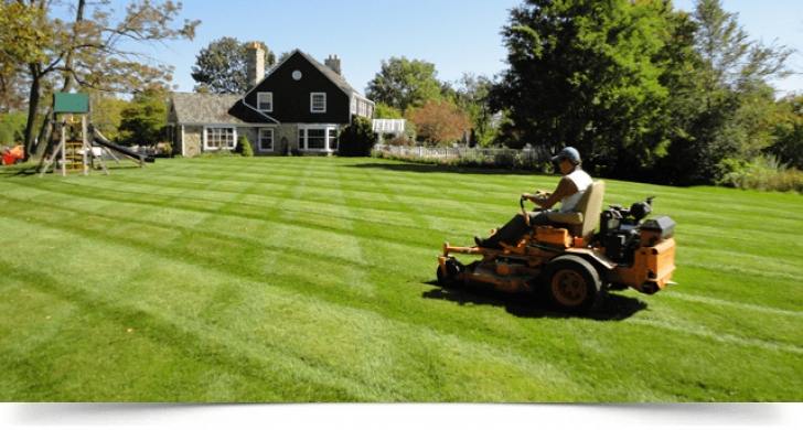 Gardening And Lawn Mowing Services Lawn Mowing Services | Best Choice Landscaping Image 936