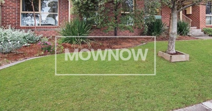 Gardening And Lawn Mowing Services Mow Now ® Lawn Mowing Services From $25. Get Your Free Quote! Photo 141