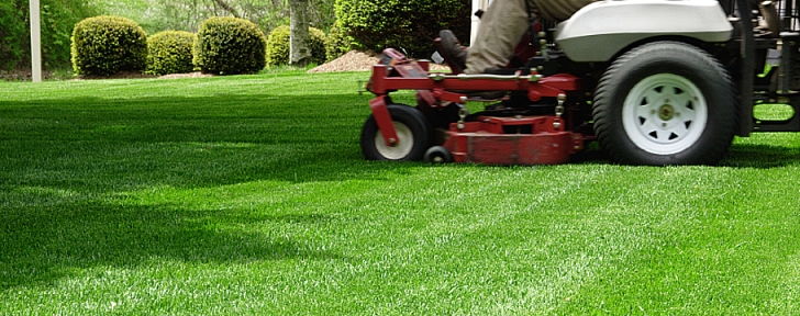 Gardening And Lawn Mowing Services Our Lawn Mowing Chisholm Service Can Be Comprehensive To Picture 849