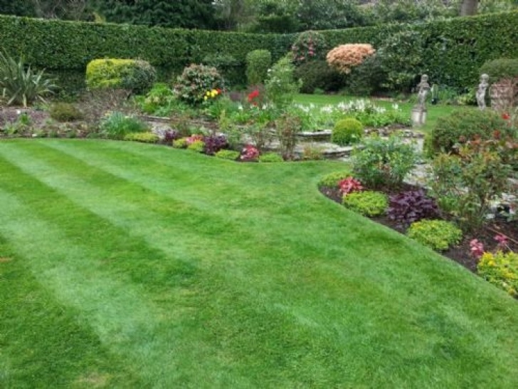 Gardening And Maintenance Warrens Gardens, Poole | 3 Reviews | Gardener - Freeindex Picture 680