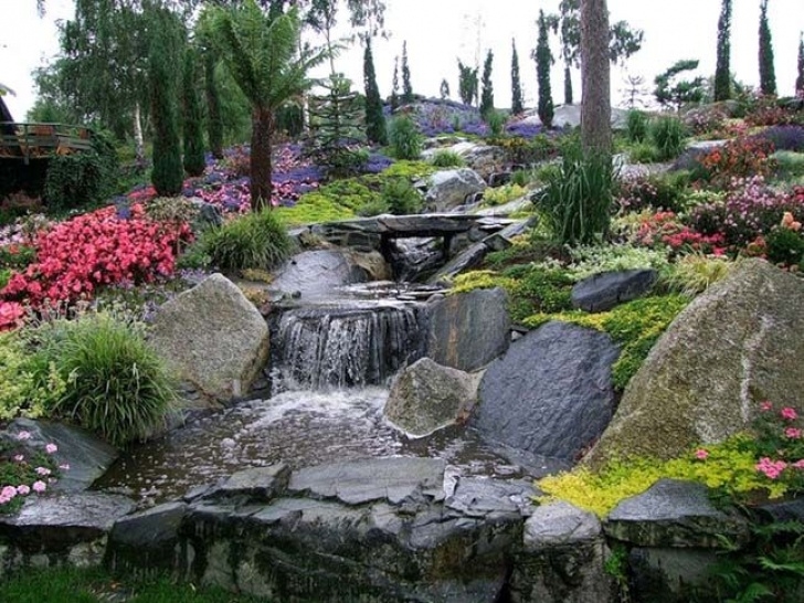 Gardens Of Eden Landscaping 35 Best Landscape Dwarf Trees Images On Pinterest Photo 821