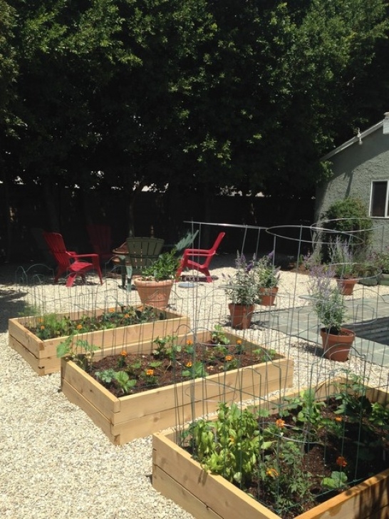 Gardens Of Eden Landscaping Vegetable Gardens - Traditional - Landscape - Los Angeles Picture 703