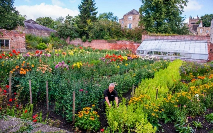 Gardners Landscape Nursery Durham'S Allotment Cutting Garden Is Heaven On Earth | The Picture 442