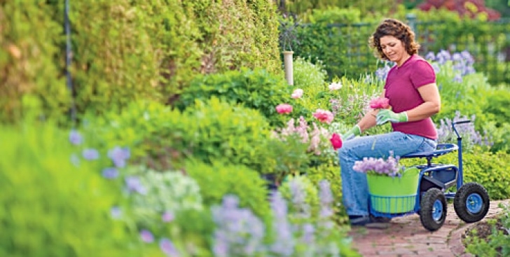 Gardners Landscape Nursery Gardening As You Grow Older, Enabling Tools: Gardener'S Supply Image 164