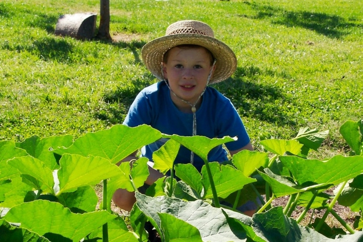 Gardners Landscape Nursery Renee'S Garden Seeds: Renee'S Blog: Gardening With Kids Photo 861