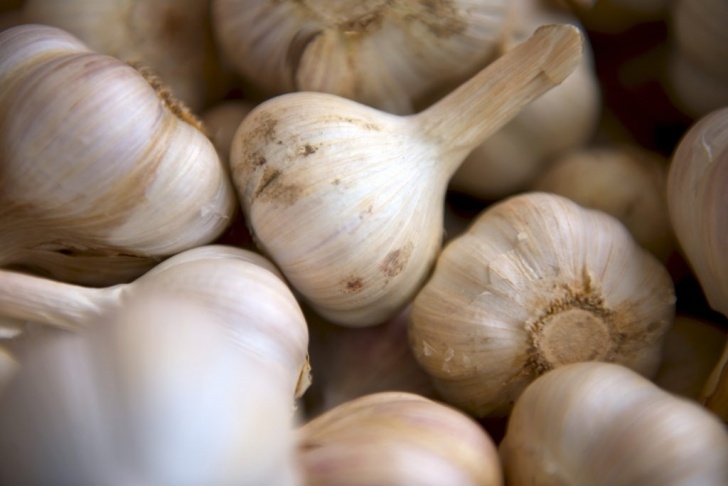 Garlic Companion Plants How To Use Garlic Companion Planting Garden Vegetable Image 486