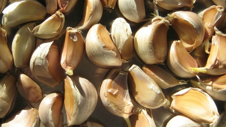 Garlic Companion Plants Start With A Cold Pan For Perfectly Cooked Garlic Photo 700