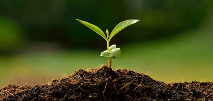 Good Soil For Plants Researchers: Diversity In Soil Imperative For Supporting Photo 380
