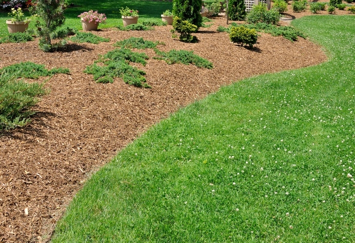 Gravel Chips For Garden The Benefits Of Organic Mulch - Organic Nature Lawn Care Image 475