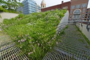 Green Garden Landscaping The Roof Is Growing! | Welcome Image 510