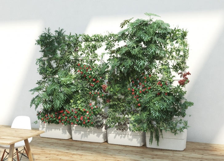 Green Plants For Garden Green Wall And Living Vertical Plant Wall For Home Photo 284