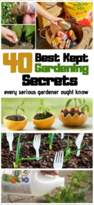 Green Thumb Indoor Garden Supply 40 Best Kept Gardening Secrets Every Serious Gardener Photo 472