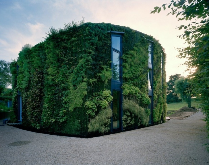 Greener Gardens Landscaping 15 Incredible Vertical Garden Designs - Organics Picture 727