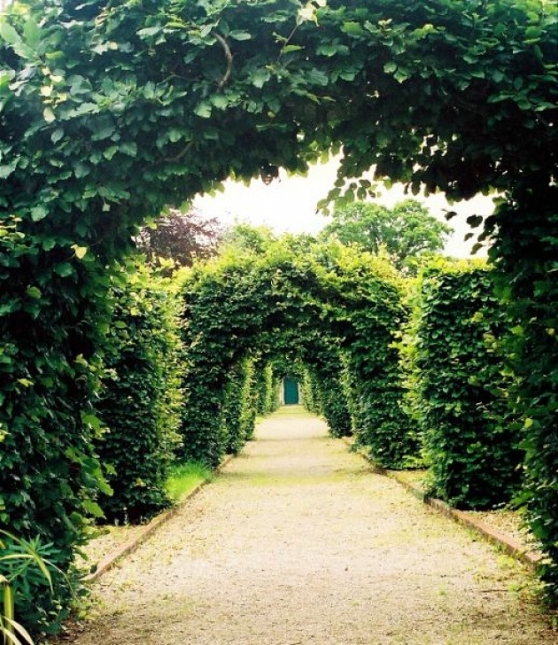 Greener Gardens Landscaping Green Garden Arches, A Photo From Roscommon, North | Trekearth Image 550