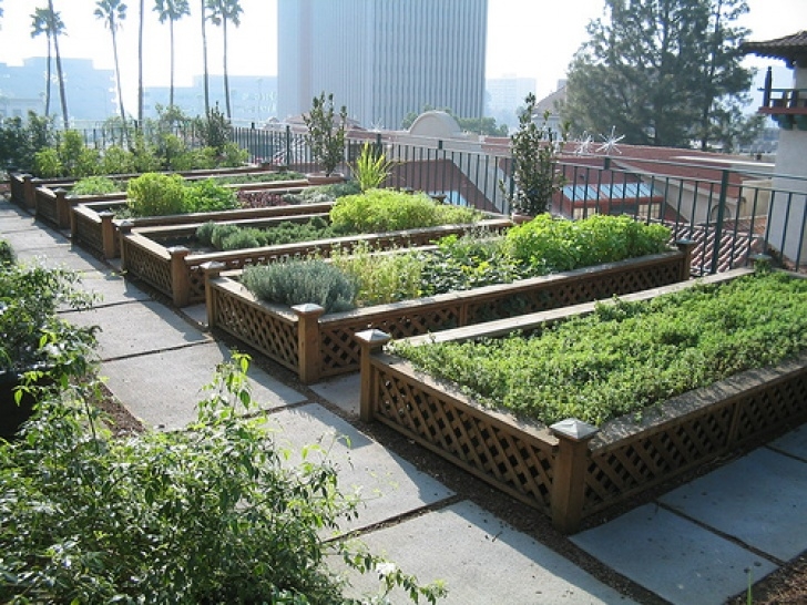 Greener Gardens Landscaping Green Gardens - Rooftop Gardens In The City - One Hundred Photo 264