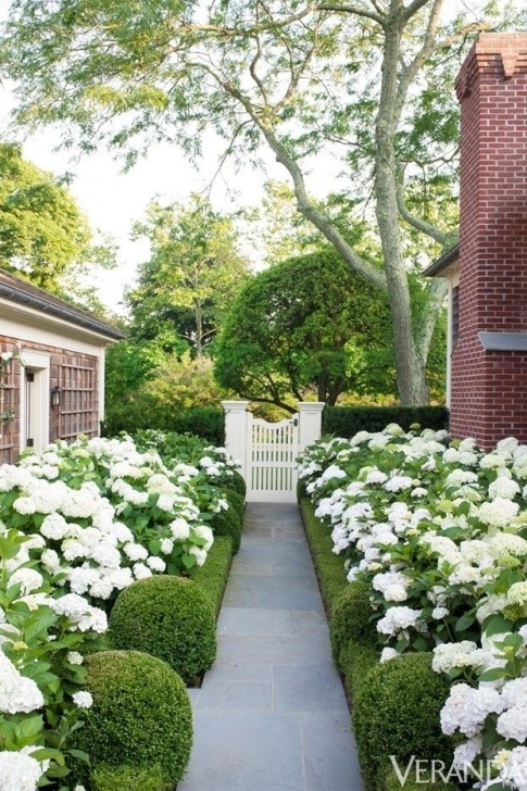 Greener Gardens Landscaping Hydrangeas, Topiary And Boxwood In The Modern Country Image 077