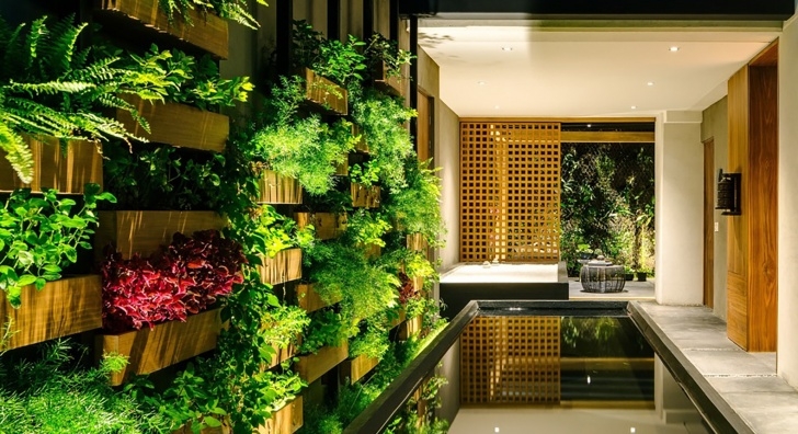 Greener Gardens Landscaping Verdant Villa Jardín Has A Gorgeous Vertical Garden In Image 214