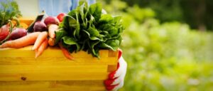 Grow Fruit And Veg Save Time And Money By Growing These 6 Fruits And Image 794
