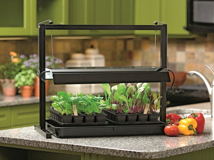 Grow Lamp For Indoor Plants Indoor Vegetable And Herb Gardening Provides Homegrown Photo 653