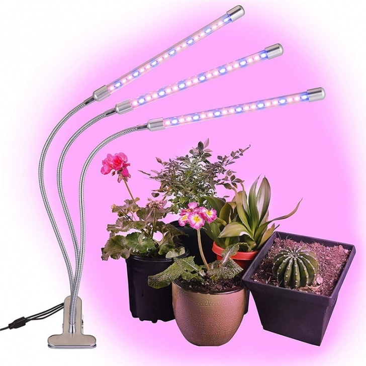 Grow Lamp For Indoor Plants Muqgew Led Grow Growing Lamps Light For Indoor House Picture 156