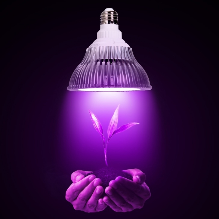 Grow Lamp For Indoor Plants Oxyled Led Plant Grow Light Bulb, Hydroponic Plant Grow Photo 320