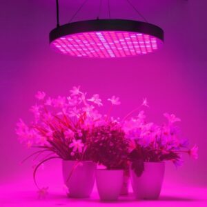 Grow Light Bulbs For Indoor Plants Best Grow Lights For Vegetables 2019 Photo 495
