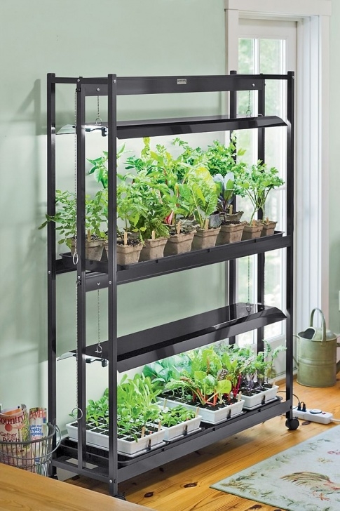 Grow Light For Indoor Herbs 295 Best The World Of Hydroponics Images On Pinterest Picture 484