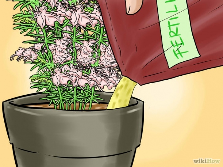 Grow Light For Indoor Herbs 3 Ways To Grow Herbs Indoors Under Lights - Wikihow Photo 962