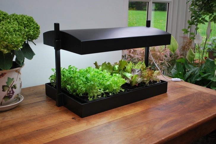 Grow Light For Indoor Herbs Grow Light Garden Image 317