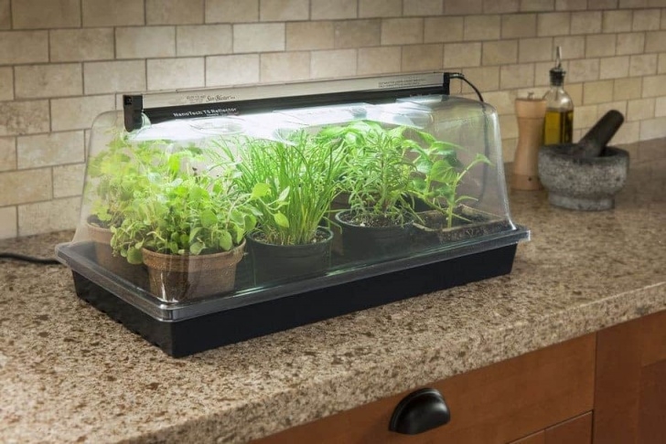Grow Light For Indoor Herbs Grow Lights & Indoor Greenhouses | Family Food Garden Picture 108